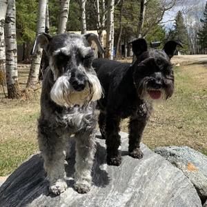 Meet your Posher, Arlene